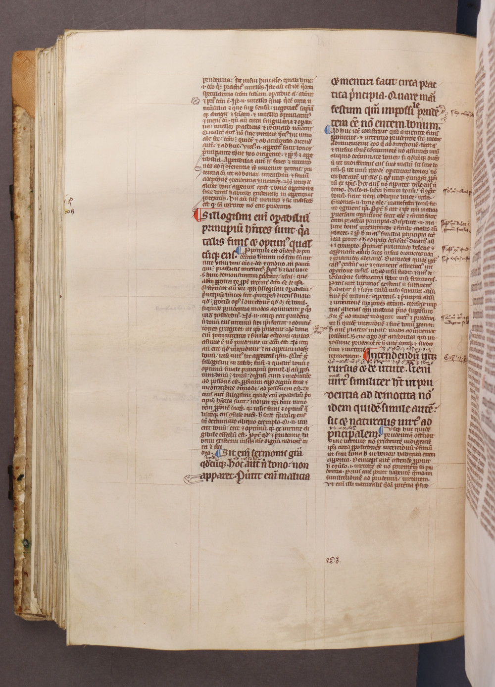 Folio 146 verso